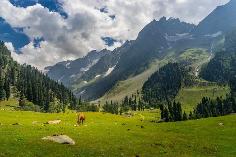 Top Five Best Destinations to Enjoy Kashmir Tourism