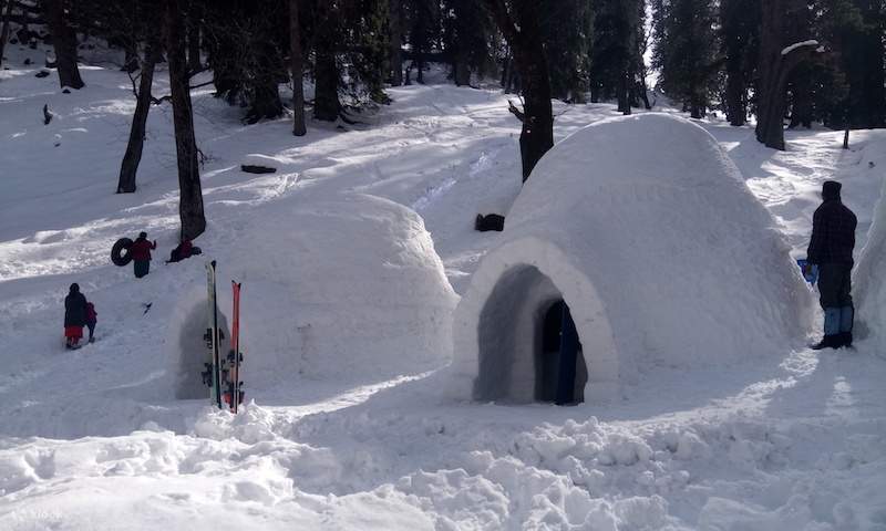 Staying in an Igloo manali,