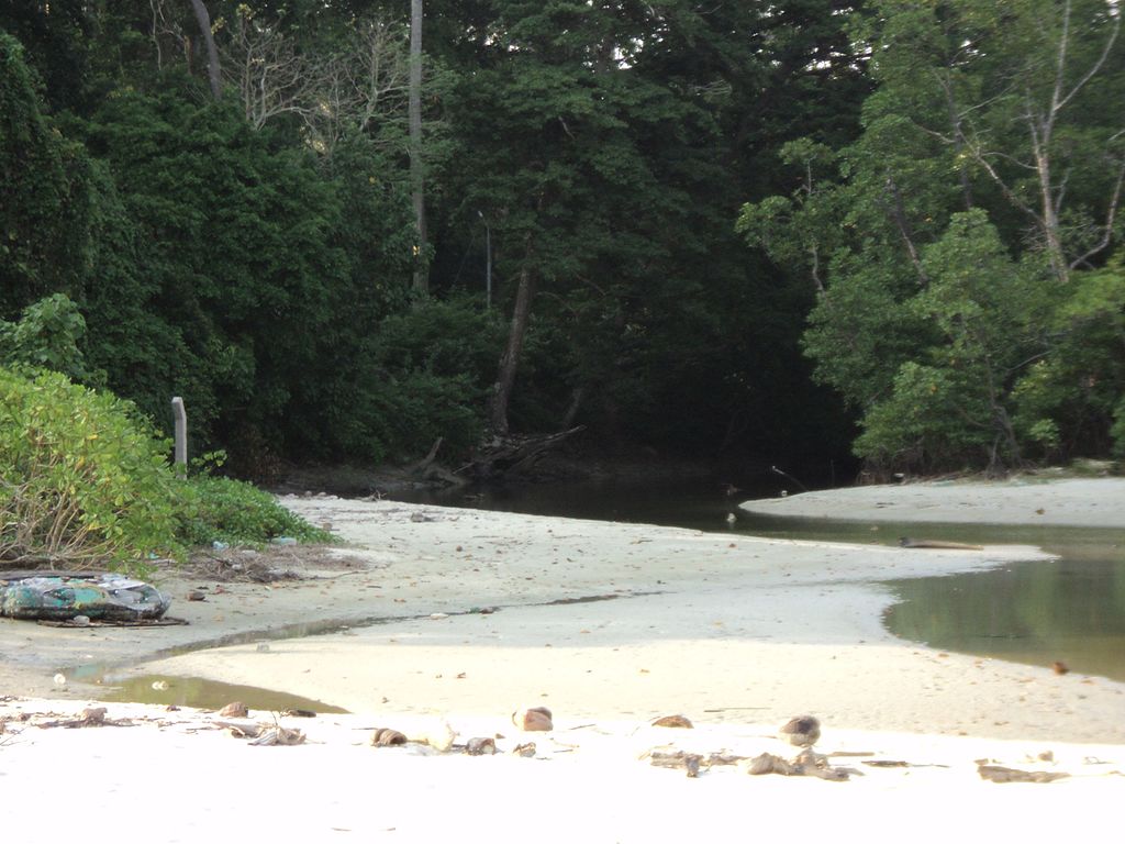 Shalini1997, CC BY-SA 4.0 <https://creativecommons.org/licenses/by-sa/4.0>, via Wikimedia Commons-Beaches in Andaman and Nicobar