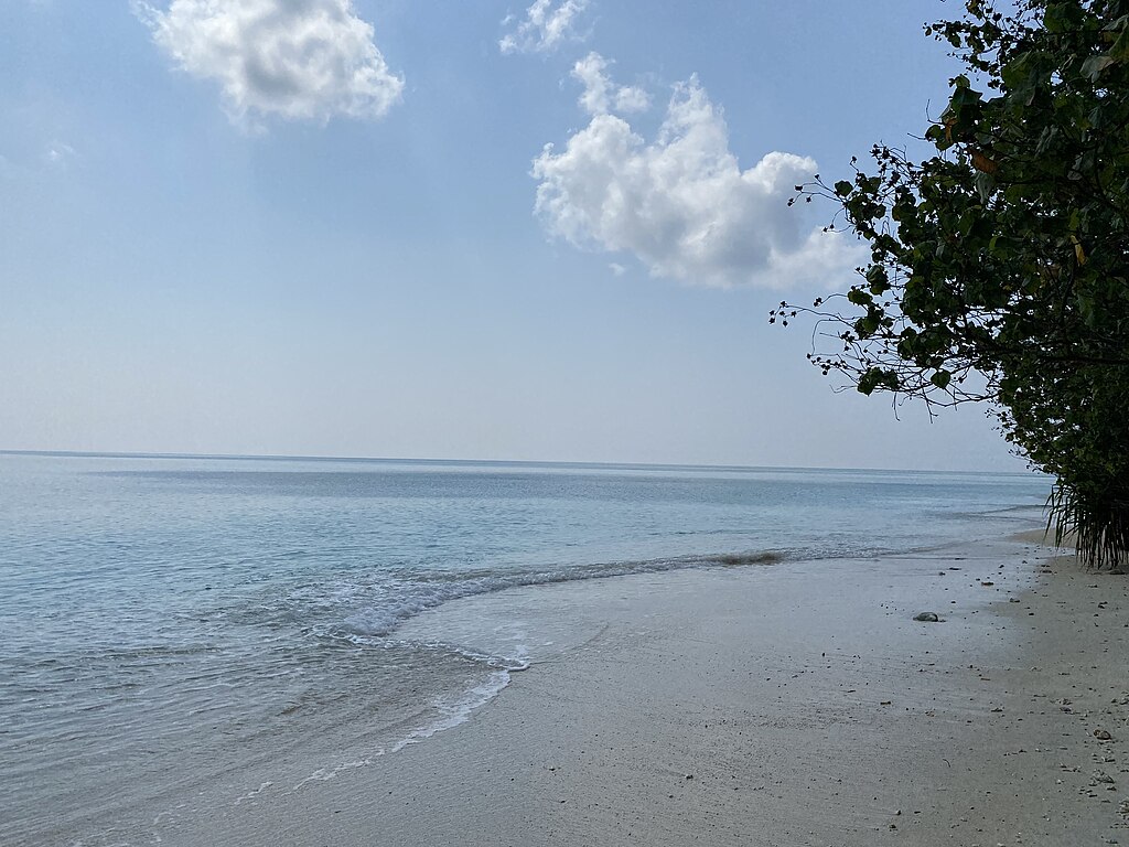 Vinayaraj, CC BY-SA 4.0 <https://creativecommons.org/licenses/by-sa/4.0>, via Wikimedia Commons-Beaches in Andaman and Nicobar