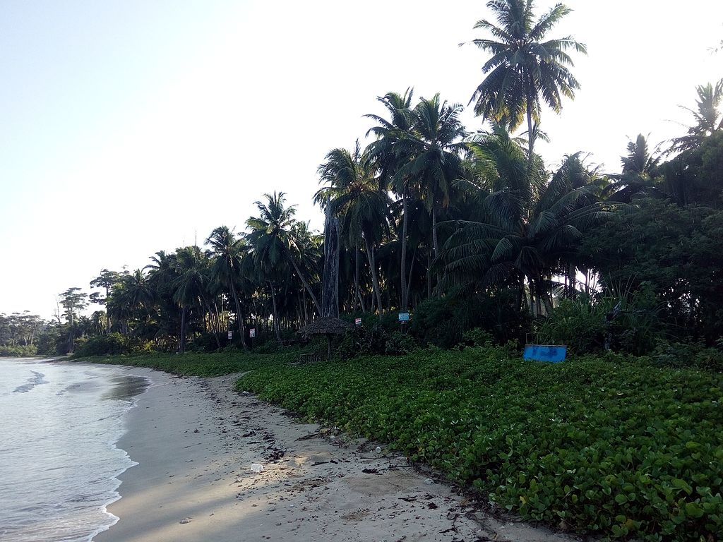 Dvellakat, CC BY-SA 4.0 <https://creativecommons.org/licenses/by-sa/4.0>, via Wikimedia Commons-Beaches in Andaman and Nicobar