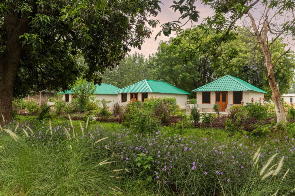 ZANA Forest Resort