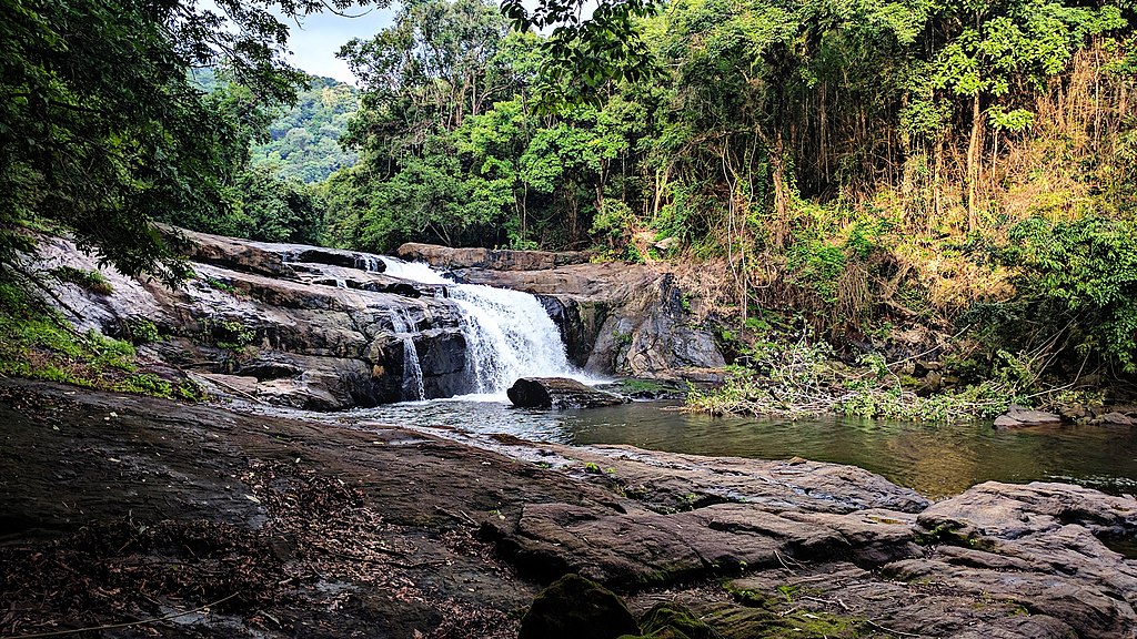 Tharun Alex Thomas, CC BY-SA 4.0 <https://creativecommons.org/licenses/by-sa/4.0>, via Wikimedia Commons-Day Trip from Kochi