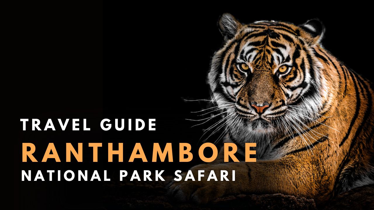 Travel Guide - Ranthambore National Park Safari